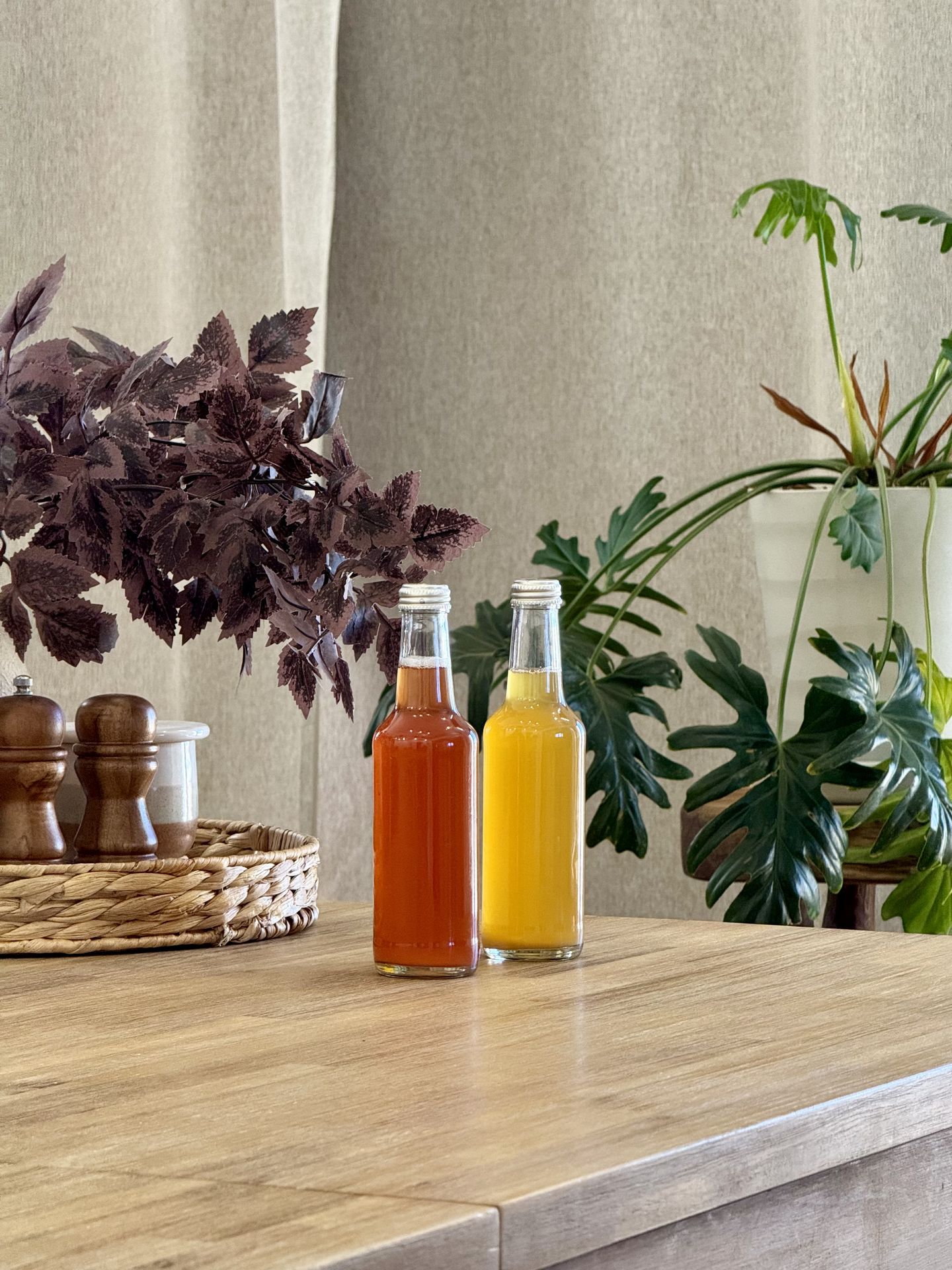 two kombucha bottles on table